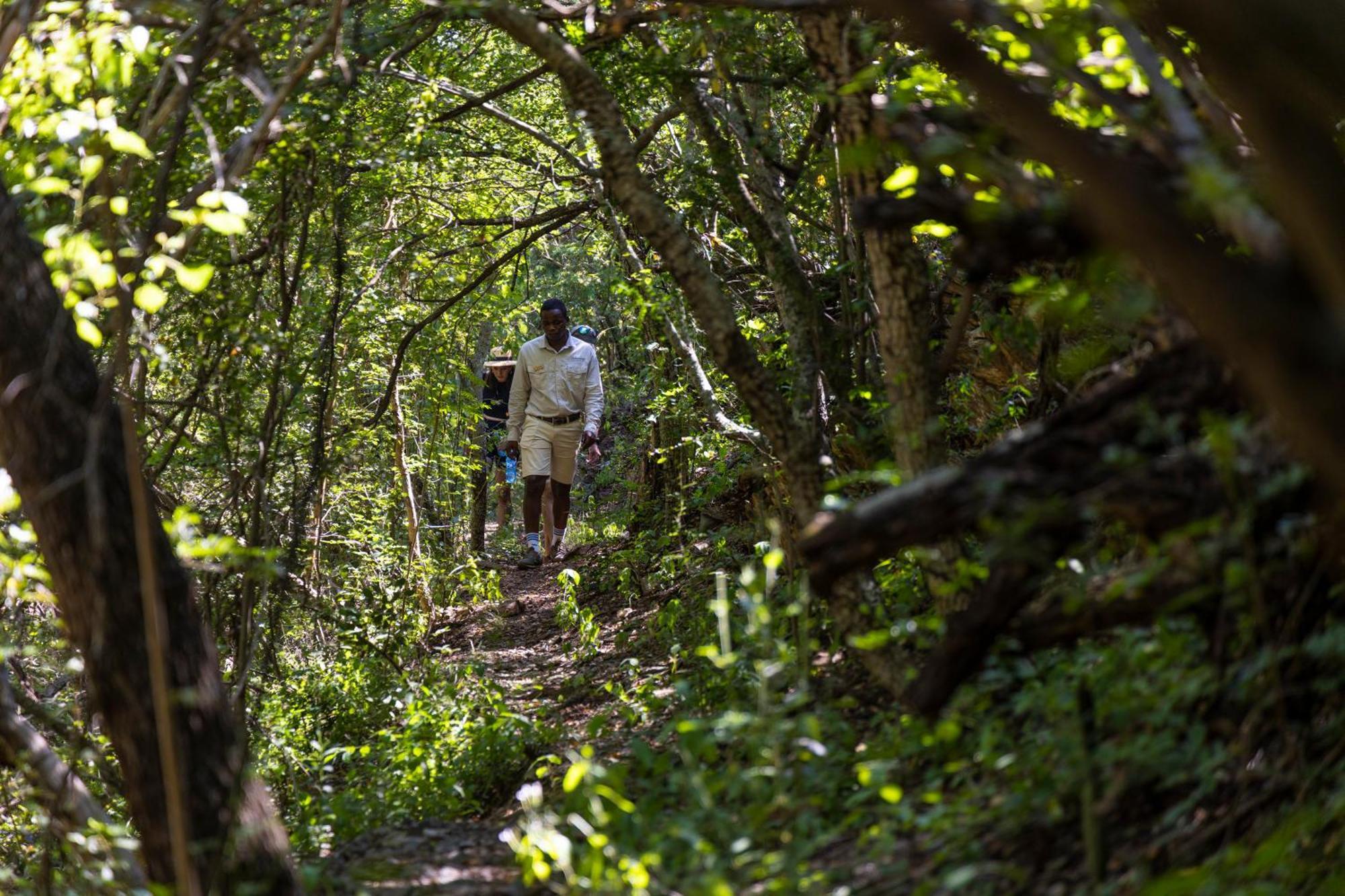 Matatane Camp - Babanango Game Reserve Nkwalini Экстерьер фото